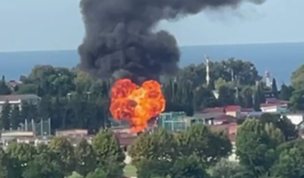 Пожар в Сочи. Фото: скриншот Telegram-видео