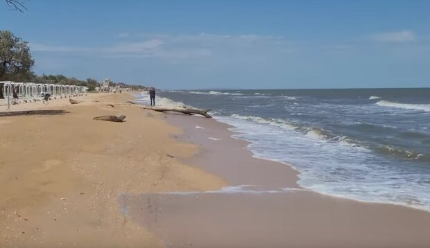 Азовское море. Фото: скриншот YouTube-видео