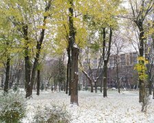 Киев. Снег в парке "Веселка". Фото: Facebook, Tanya Tymoshenko