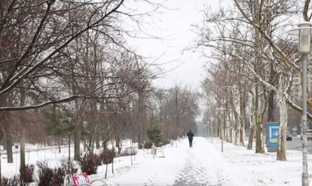 Погода в декабре: прогноз народного синоптика. Фото: скриншот YouTube-видео