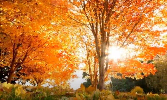 Погода на 4 сентября 2020 года