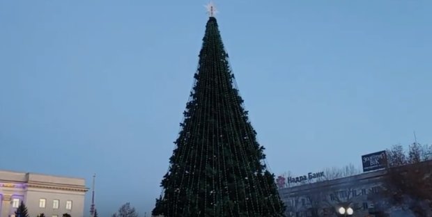 Разваливается прямо на глазах: на Херсонщине ЧП с новогодней елкой