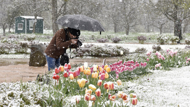 Погода на 7 мая: синоптики предупредили о снеге
