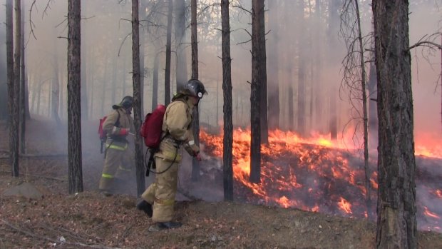 Не ходите в лес: на выходных в Украине будет высокий уровень пожарной опасности