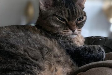 Источник: Инстаграм