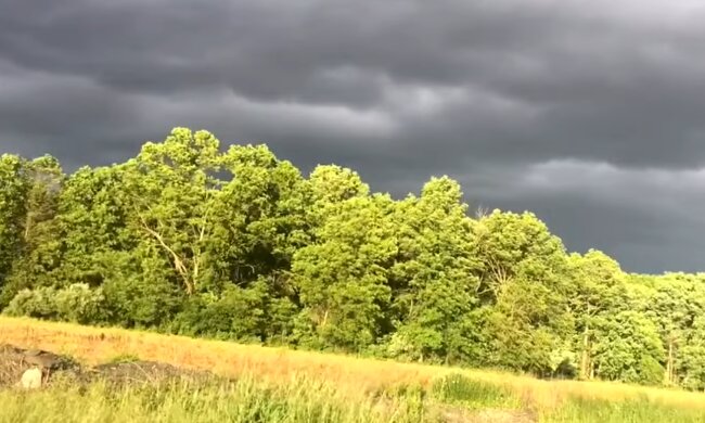 Погода в Украине.  Фото: скриншот YouTube-видео