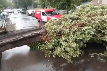 Стихия трощит Киев, дороги превратились в Венецию, машины плавают по городу