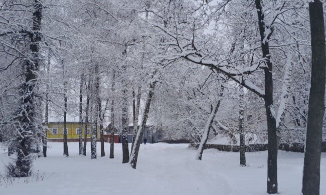 Наталка Діденко попередила про погоду на найближчі дні, мороз та сніг. Фото: Стіна