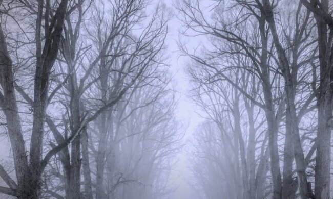 Погода на 1 декабря 2020 года