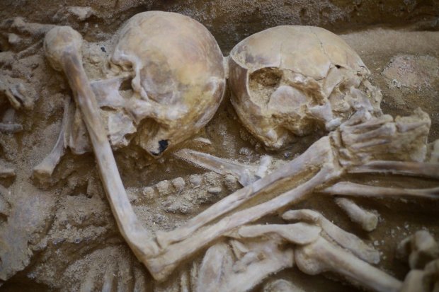 Археологи нашли огромную украинскую братскую могилу в Румынии, детали