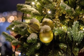 Для одесситов подготовили необычный календарь к Новому году, фото - Мир24