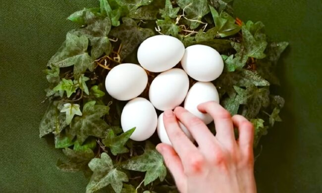 Яйца. Фото: YouTube