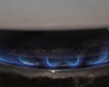 Небачена щедрість: Нафтогаз дозволить частині абонентів не платити за газ роками