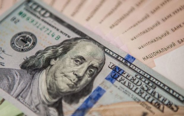 Курс валют в Украине на 20 августа: доллар стал дороже