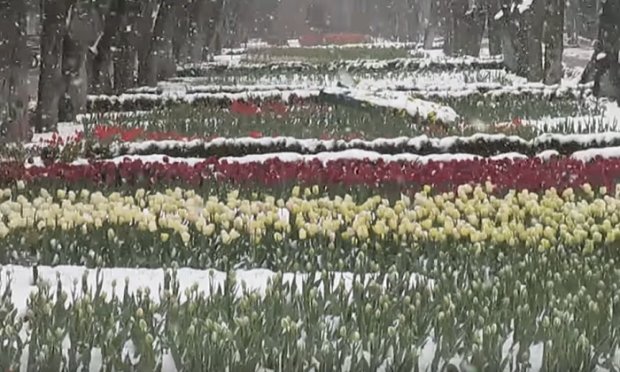 Март в Украине может стать снежным и холодным. Фото: YouTube