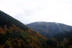 Природа Карпат. Фото: скріншот YouTube-відео