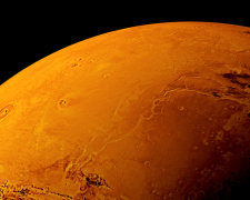 Загадочный скелет жителя Марса: соцсети обсуждают нашумевшее фото астрономов