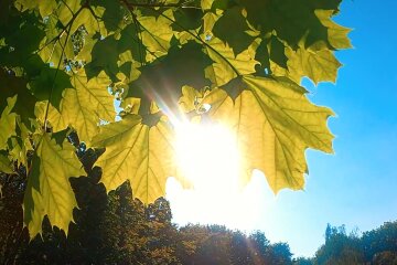 Природа. Фото: скріншот YouTube-відео