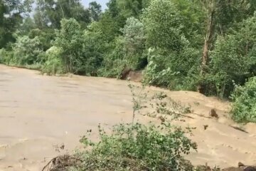 Потоп. Фото: скриншот Facebook