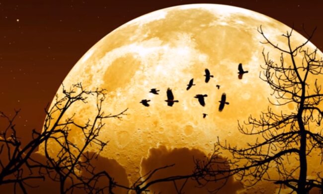 Гороскоп на 28 мая 2020 года