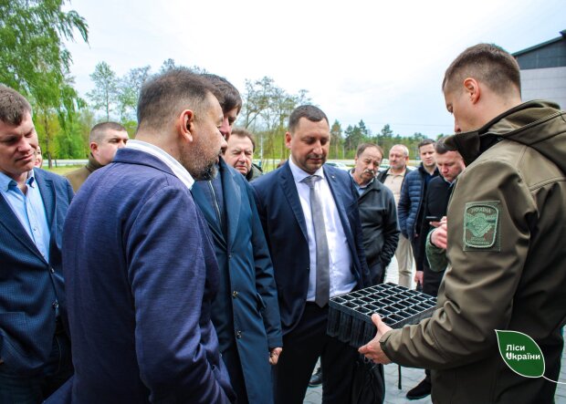 Игорь Зубович, Председатель комиссии по преобразованию ГП «Леса Украины»