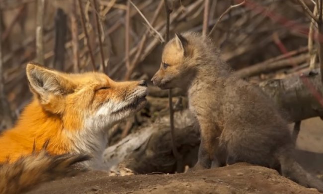 Погода на 15 февраля 2020 года