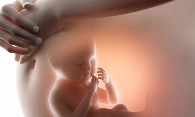 Прием антидепрессантов при беременности меняет мозг ребенка