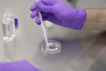 В США смогли вылечить коронавирус лекарством от Эболы. Фото: скрин youtube