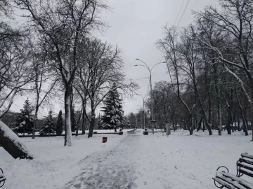 Зима. Фото: Стена