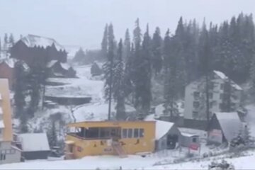 Заснеженные Карпаты. Фото: скриншот Youtube-видео