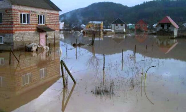 Фото: Закарпаття онлайн