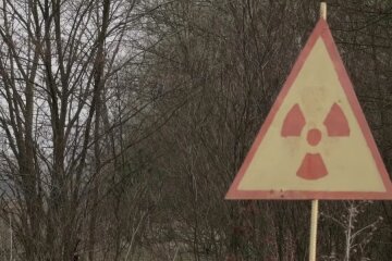 Моторошні кадри: в Чорнобильському заповіднику сфотографували тварину, що світиться вночі