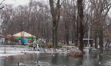 Парк Глобы, Днепр. Фото: скриншот Youtube. Информатор.