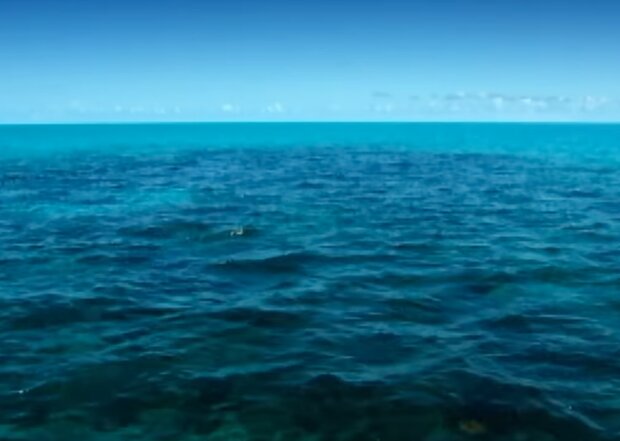 Бермудський трикутник. Фото: скріншот YouTube