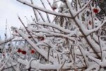 Прогноз погоды на зиму 2021. Фото: скриншот Youtube-видео