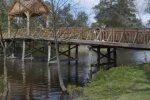 Природа весной. Фото: скриншот YouTube-видео