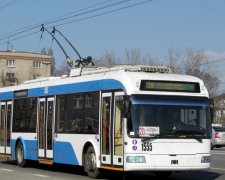Как прокатиться на троллейбусе без пропуска: курьезные кадры из Днепра попали в сеть
