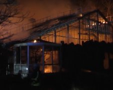 В немецком городе Крефельд вспыхнул пожар в зоопарке, скриншот YouTube