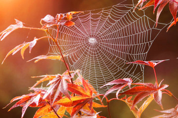 Погода на 19 октября 2019 года