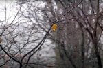 Погода в Украине. Фото: скриншот Youtube-видео