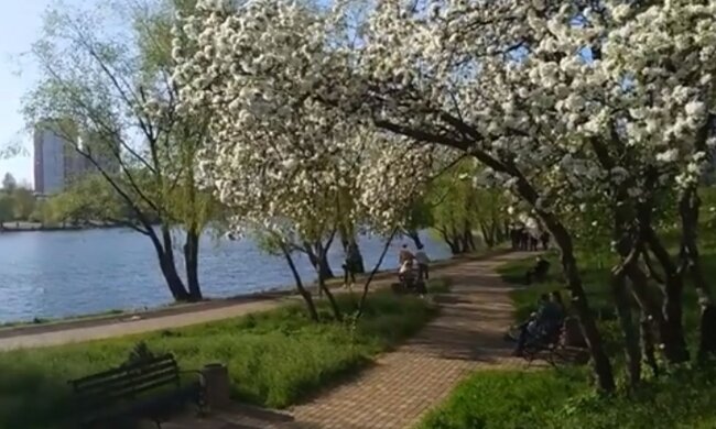 Весна у Києві. Фото: скріншот YouTube-відео