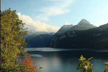 Природа. Фото: скріншот Youtube-відео.