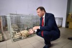 С коровами завязал: Ляшко пришел в Раду с какой-то собакой. Фото
