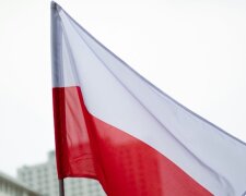 Навроцький і Зеленський: скандал навколо ордена Білого Орла