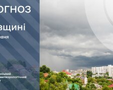 Инфографика прогноза погоды от УкрГидрометцентра на 4 июня для Киевщины