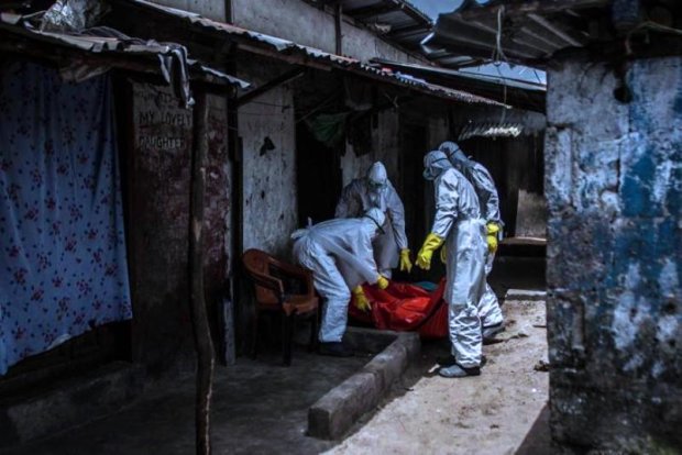 Эбола. Фото: 112.ua