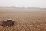 Земельная реформа в Украине должна упорядочить земельные отношения. Фото: YouTube