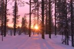 Природа. Фото: скриншот YouTube-видео