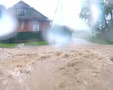 Потоп в Закарпатье. Фото: Youtube