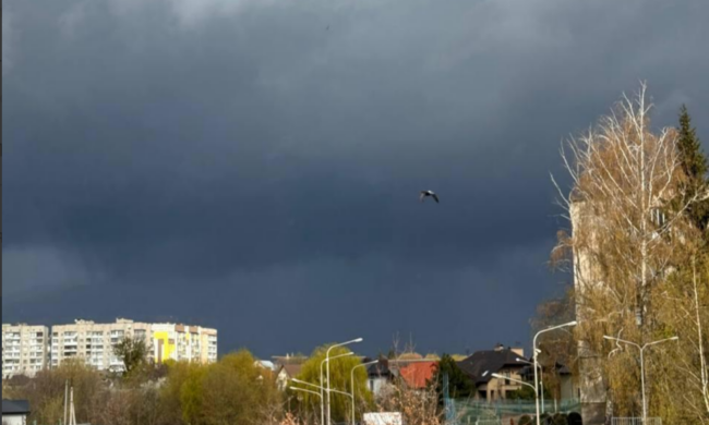 Град и ураганный ветер: непогода натворила беды во многих областях - видео